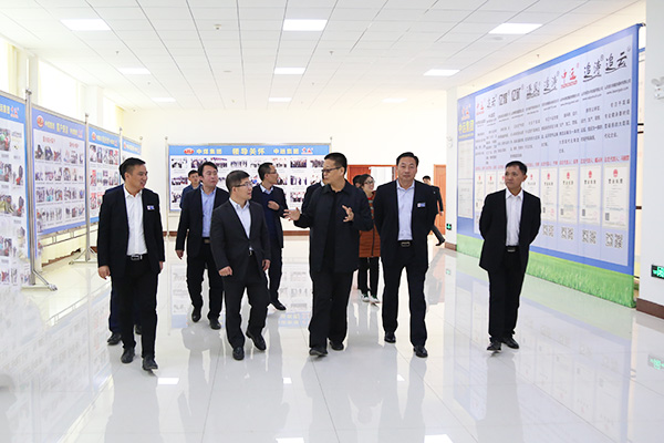 Warmly Welcome China Network Database Chairman Wang Haibo And His Entourages To Visit China Coal Group