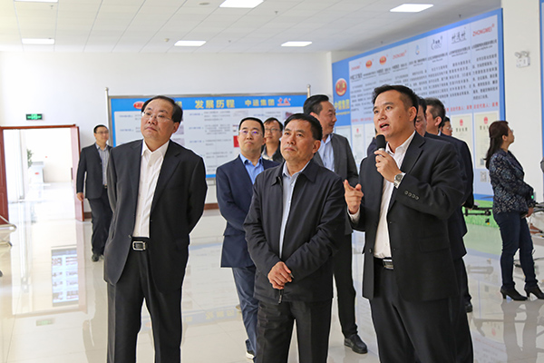 Warmly Welcome Hebi Municipal Party Committee Secretary Fan Xiufang And Mayor Guo Hao To Visit Shandong Tiandun For Inspection